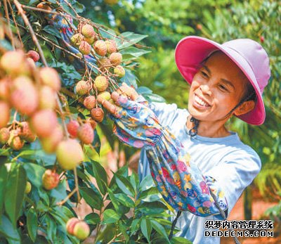 瓜果飘香 润泽夏日（文化中国行）