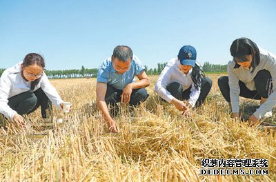 “三夏”小麦机收任务基本完成（新时代画卷）