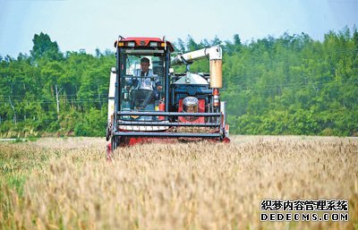 “三夏”小麦机收任务基本完成（新时代画卷）
