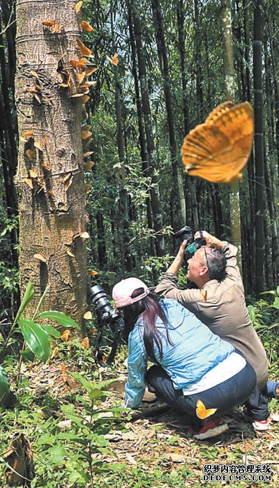 揽山林胜景 赏生态奇观（经济聚焦·新型旅游业态观察）