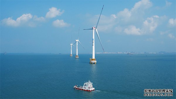 福建兴化湾海上风电场。受访者供图