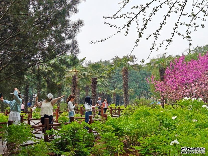 在河南省洛阳市中国国花园，游客漫步花海、自拍留念。人民网 王雅蝶摄