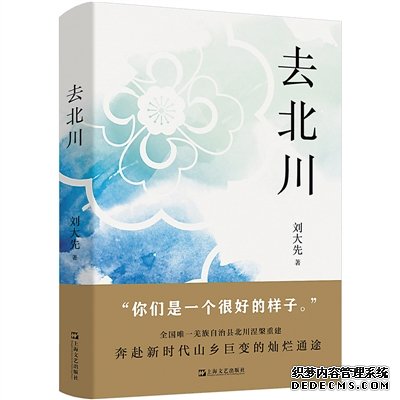 用质朴文字描绘山乡巨变