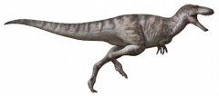 远古发现丨新发现暴龙类恐龙：古生物学家详解