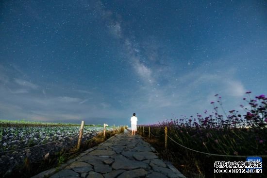 贵州龙里：“清凉山水”带热避暑游