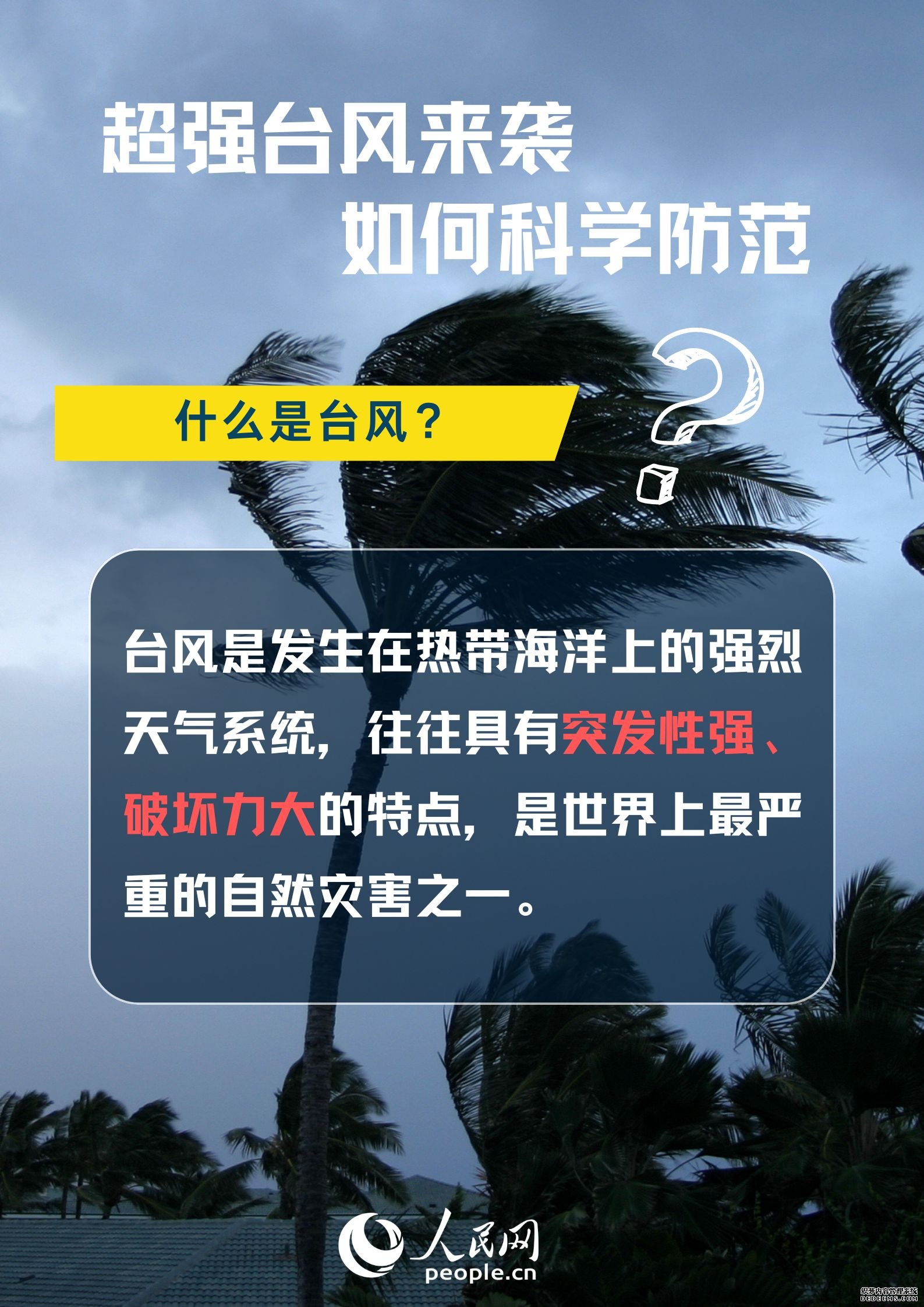 超强台风来袭，如何科学防范？