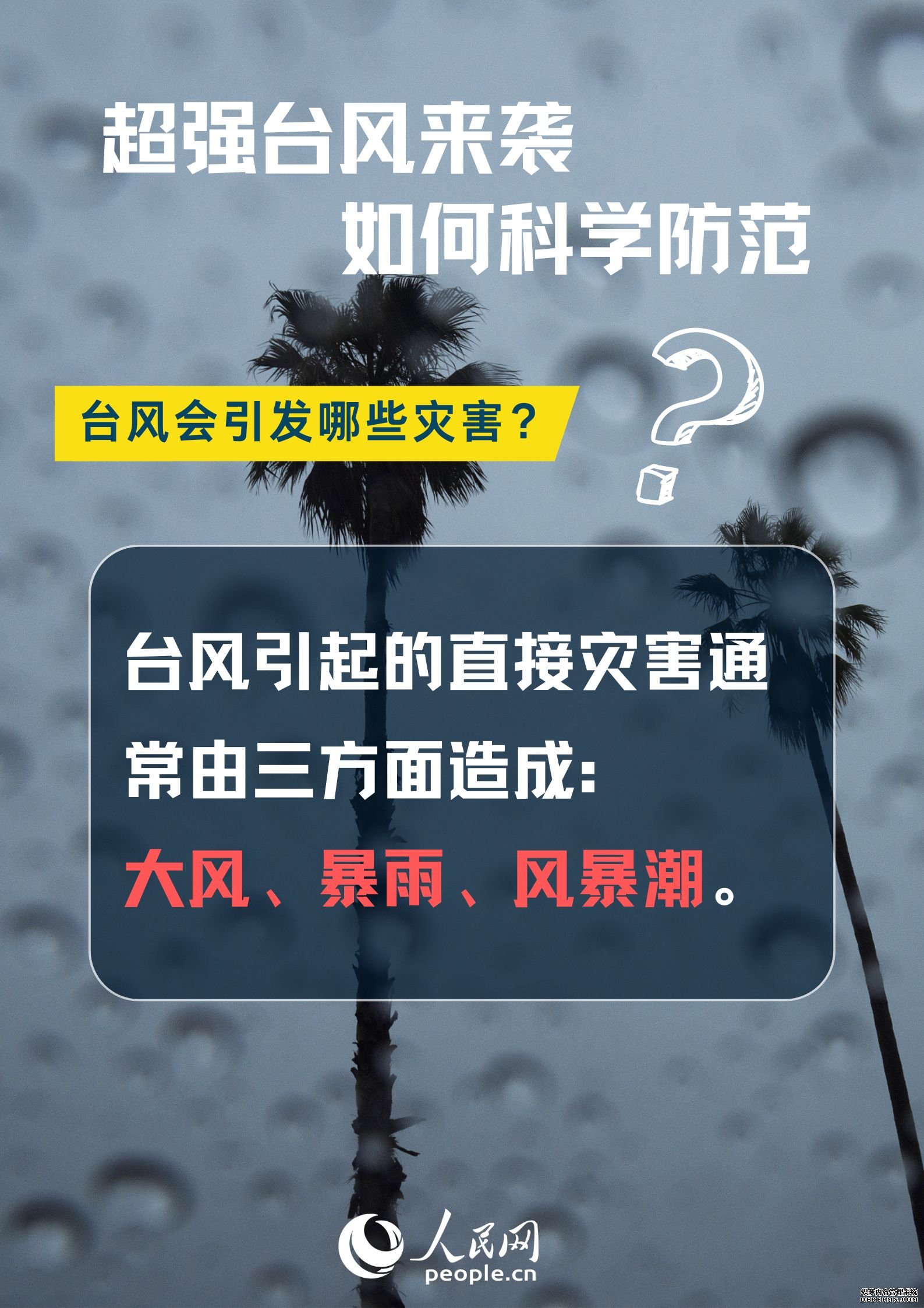 超强台风来袭，如何科学防范？