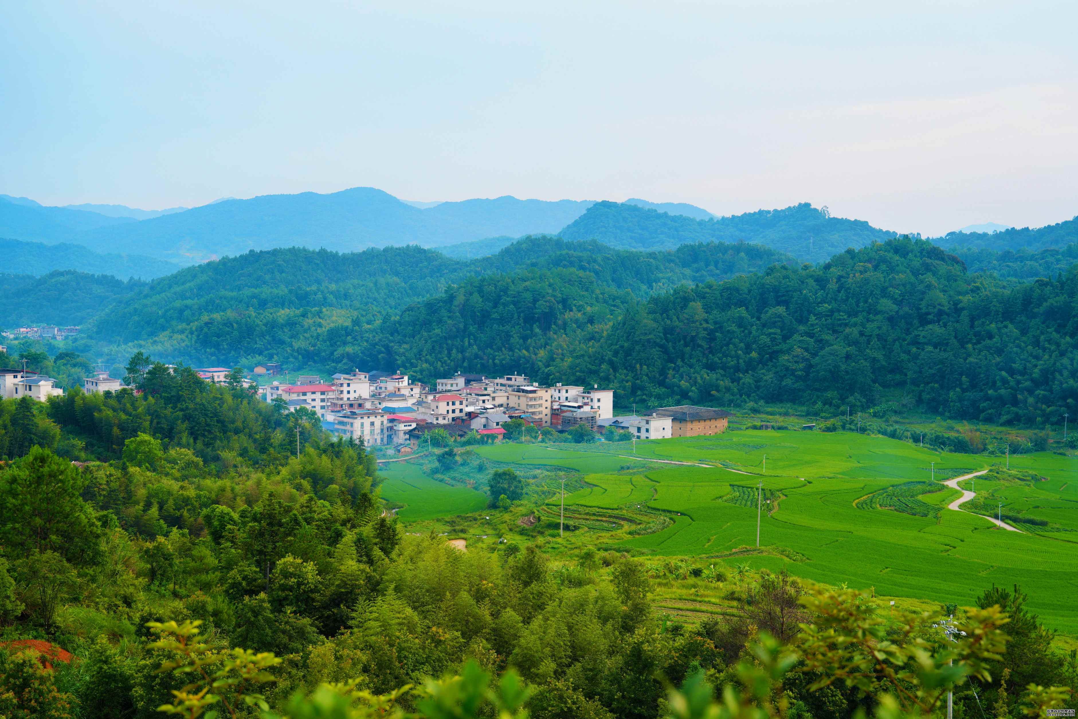 龙潭镇枫林村一景。杨芝浩 摄