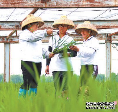 提升粮食产能 推进多元增值（新时代画卷·国家现代农业产业园②）