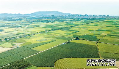 提升粮食产能 推进多元增值（新时代画卷·国家现代农业产业园②）