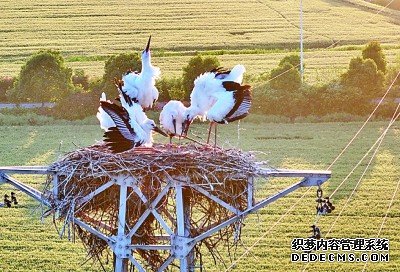 “山水工程”累计治理面积超1亿亩