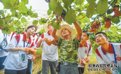 暑期生活多姿多彩（新时代画卷）