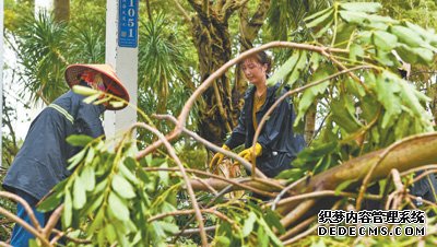 台风“摩羯”过境海南广东 各地各部门全力抢险救灾