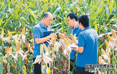 连片盐碱地变身致富田