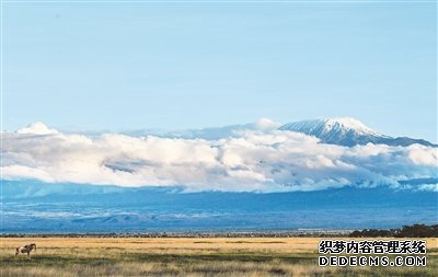 非洲国家积极挖掘旅游业增长潜力