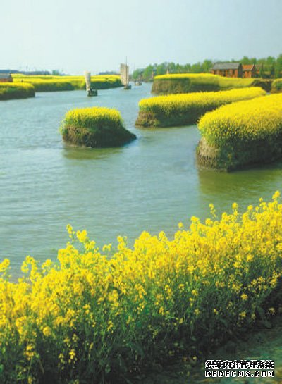 水上“长”旱田 田间“种”风景