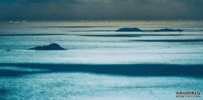 好品中国丨“东海鱼仓”，孕育“海鲜顶流”