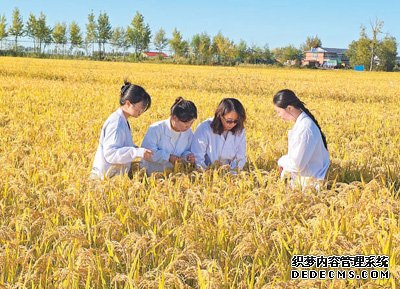 把论文写在大地上，劲头足足的（秋收进行时）