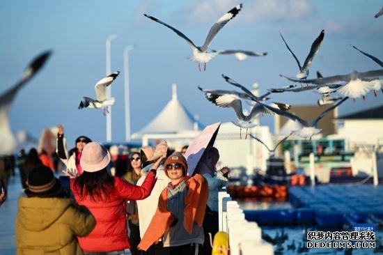 新时代中国调研行之看区域·西部篇｜青海湖秋韵