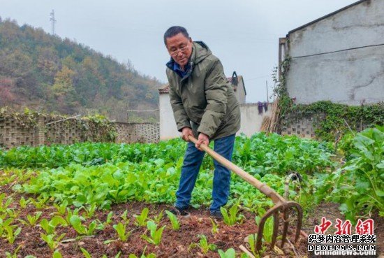 湖北农民诗人“以锄为笔”绘就“诗意人生”