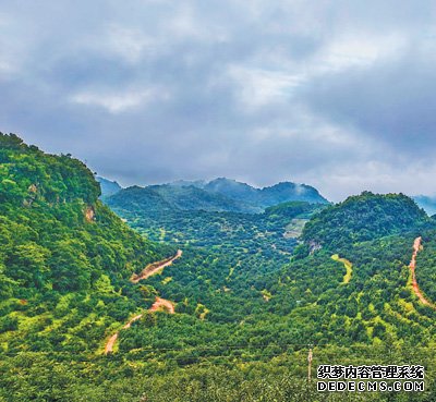 牛油果，绿满红土地（记录中国）