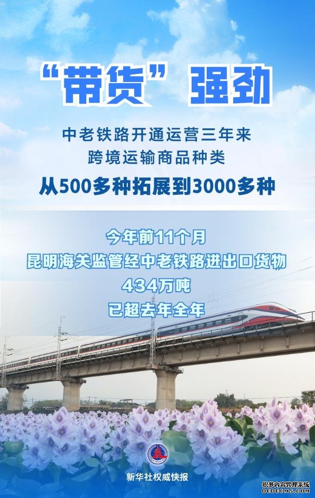 从500多种到3000多种 中老铁路“带货”强劲