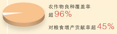  首超1.4万亿斤，沉甸甸的丰收答卷（经济新方位·特别报道）