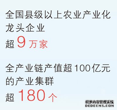  首超1.4万亿斤，沉甸甸的丰收答卷（经济新方位·特别报道）