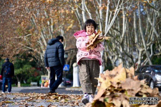 杭州的浪漫：落叶不扫，归于诗意